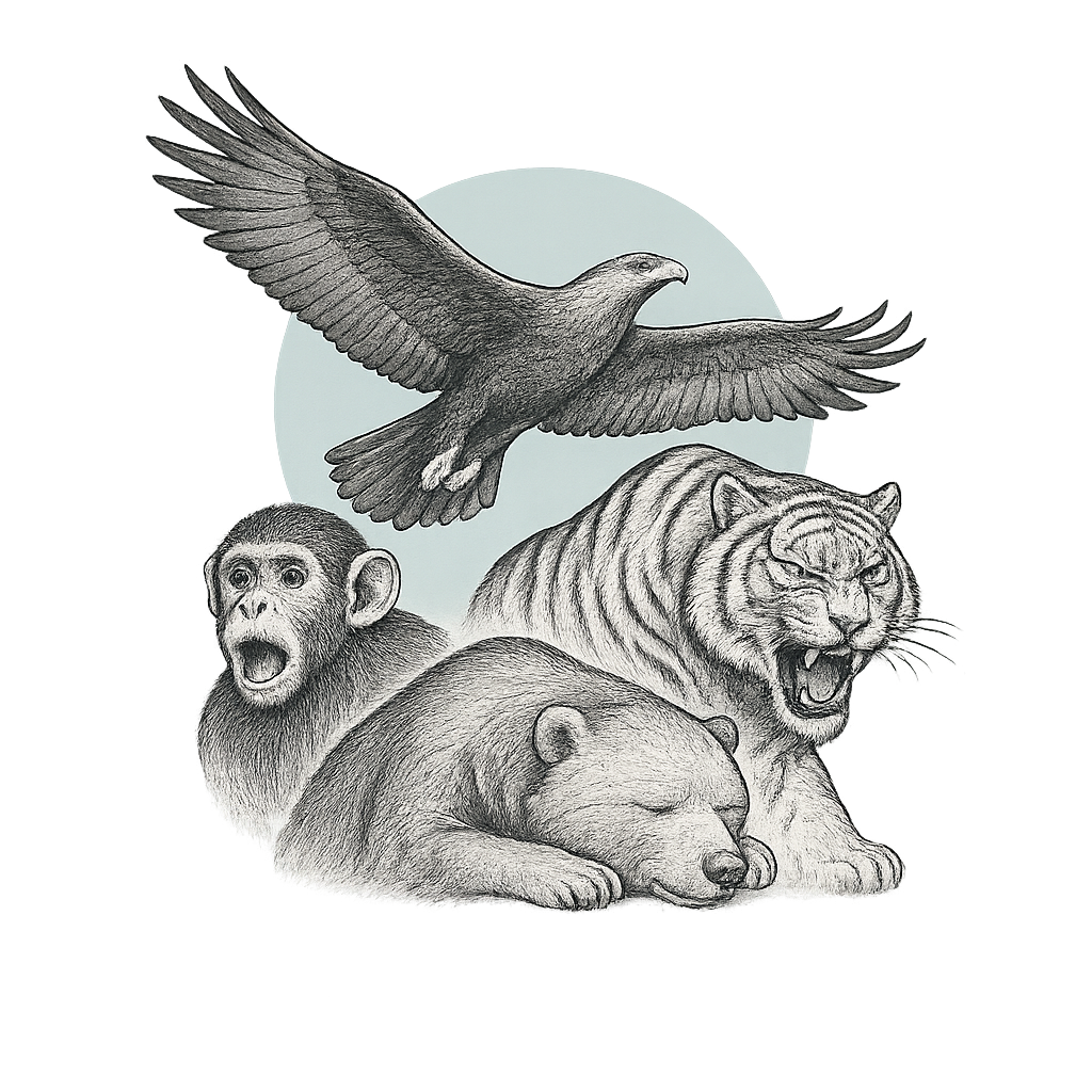 Four energy archetypes
